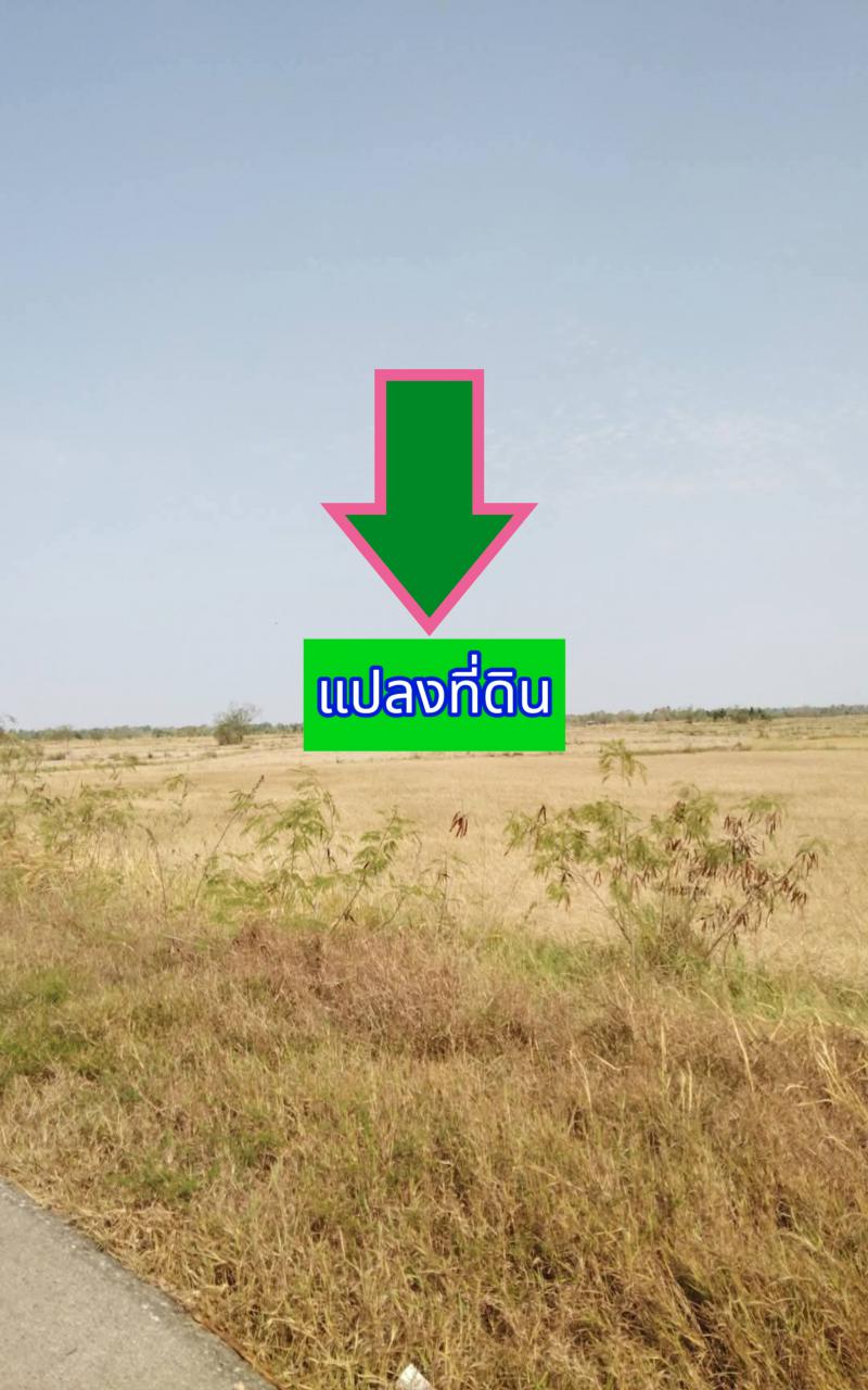 ที่ดิน 43488500 นครราชสีมา เมืองนครราชสีมา สีมุม